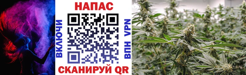 Магазины продажи наркотиков Нерюнгри COCAIN  АМФ  ГАШ  Марихуана  МЕФ  Альфа ПВП 