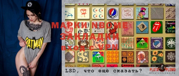 хмурый Бородино