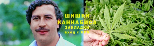 трава Верея