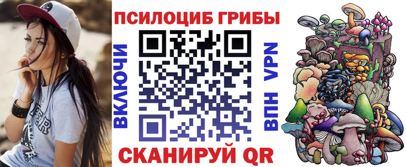 Псилоцибиновые грибы Psilocybine cubensis  kraken зеркало  Нерюнгри  где найти наркотики 